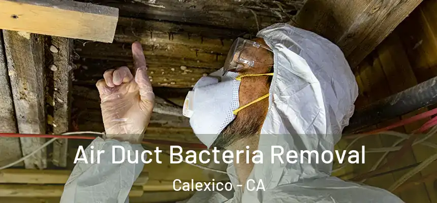  Air Duct Bacteria Removal Calexico - CA