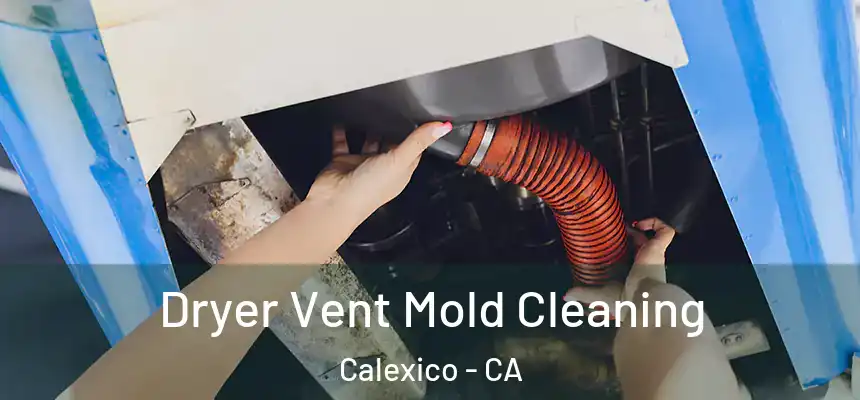  Dryer Vent Mold Cleaning Calexico - CA
