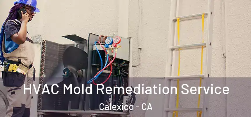  HVAC Mold Remediation Service Calexico - CA