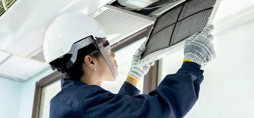 Our Mold & Mildew Removal from Air Ducts Services in Calexico, CA