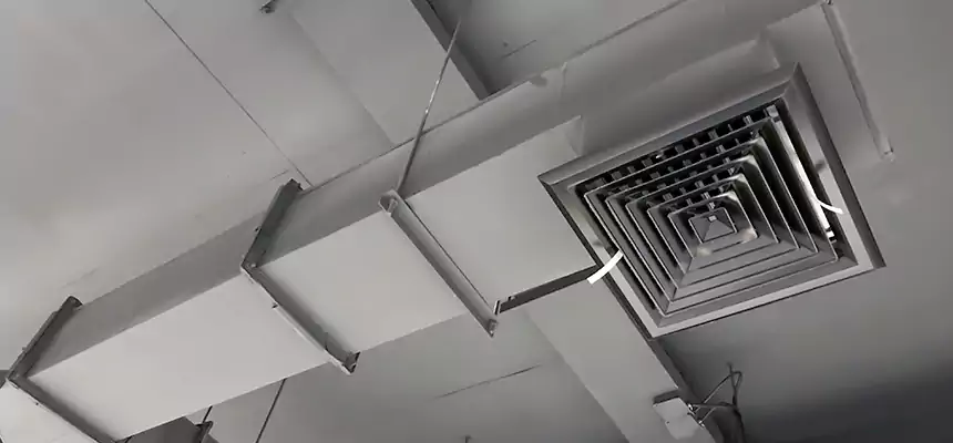 Our Rodent Droppings In Vents Services in Calexico, CA