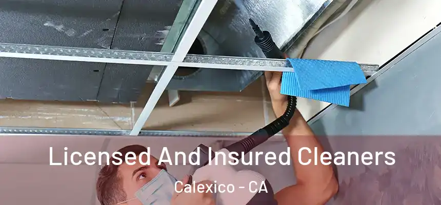  Licensed And Insured Cleaners Calexico - CA