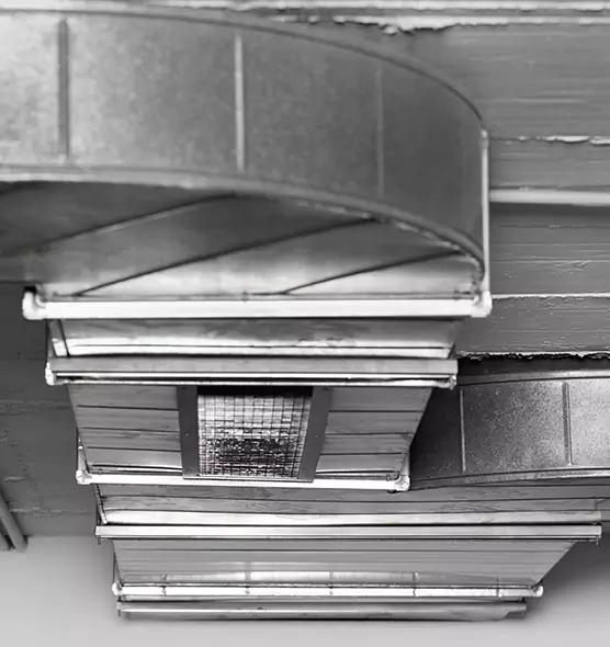 Professional Air Duct Pest Removal in Calexico, CA