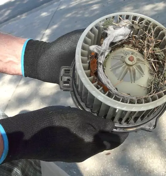 About Air Duct Rat Removal in Calexico, CA