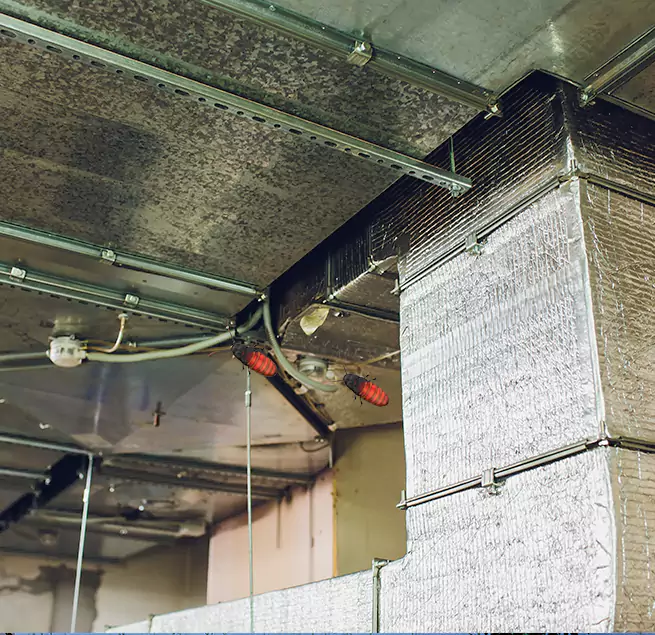 Why Homeowners & Businesses Trust Us in Calexico, CA?