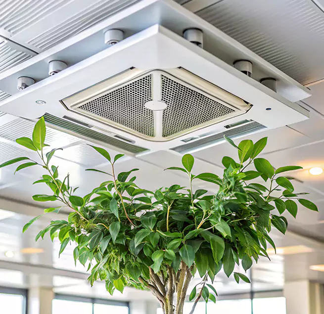 Why Homeowners & Businesses Trust Us in Calexico, CA